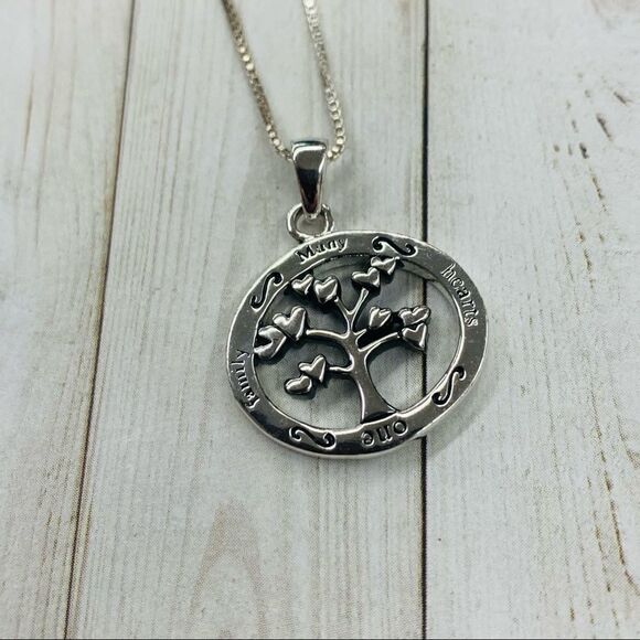 Sterling Silver One Family Many Hearts Necklace - Picture 1 of 4